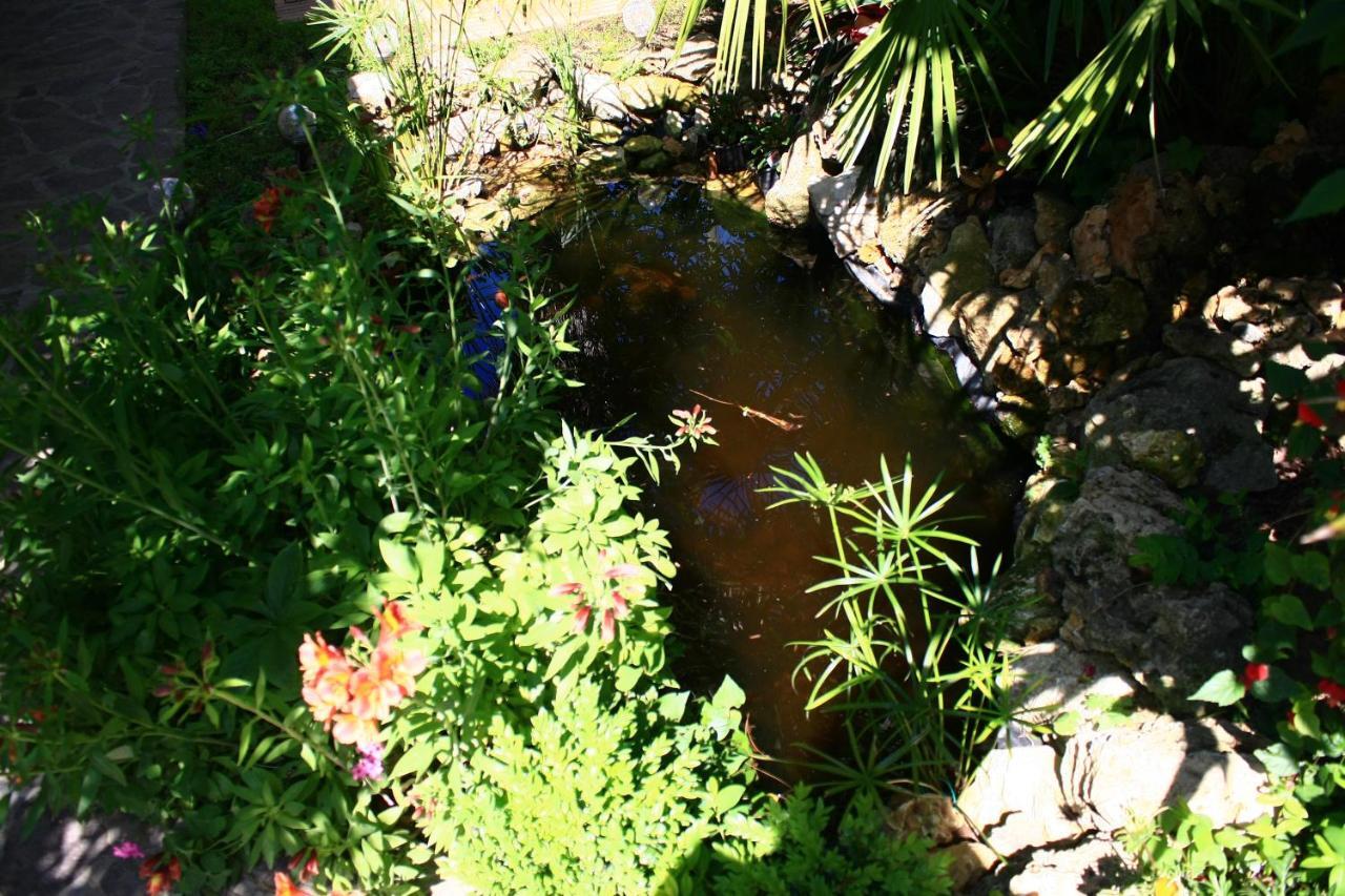 Garden Fuorirotta Bed and Breakfast San Giovanni Teatino Buitenkant foto